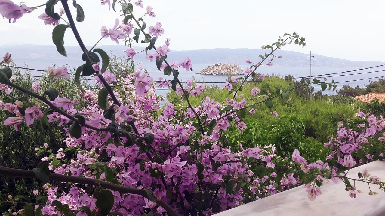 Vlichos Studio Apartment Hydra  Bagian luar foto